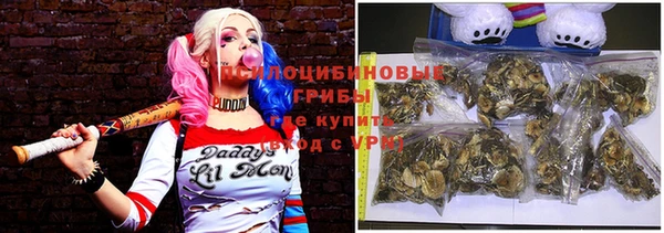 jwh Алзамай