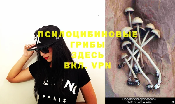 MDMA Premium VHQ Заволжск