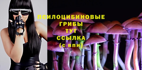 Альфа ПВП Заводоуковск