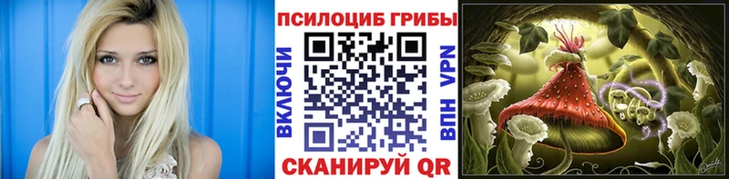 Псилоцибиновые грибы Cubensis Лобня